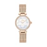 Picture of Coach Park Watch