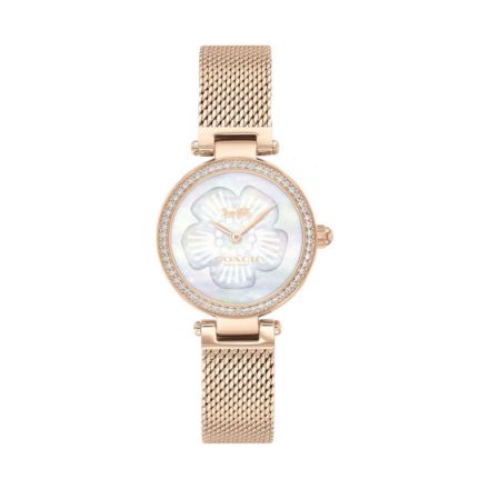 Picture of Coach Park Watch