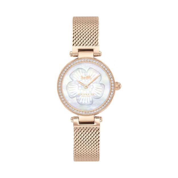 Picture of Coach Park Watch