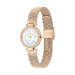 Picture of Coach Park Watch