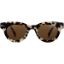 Picture of Tilson Sunglasses Tortoise